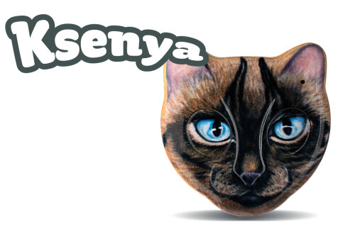 AN2/CAT/KSENYA - dvoukanálový dálkový ovladač ROGER ZOOLOCK